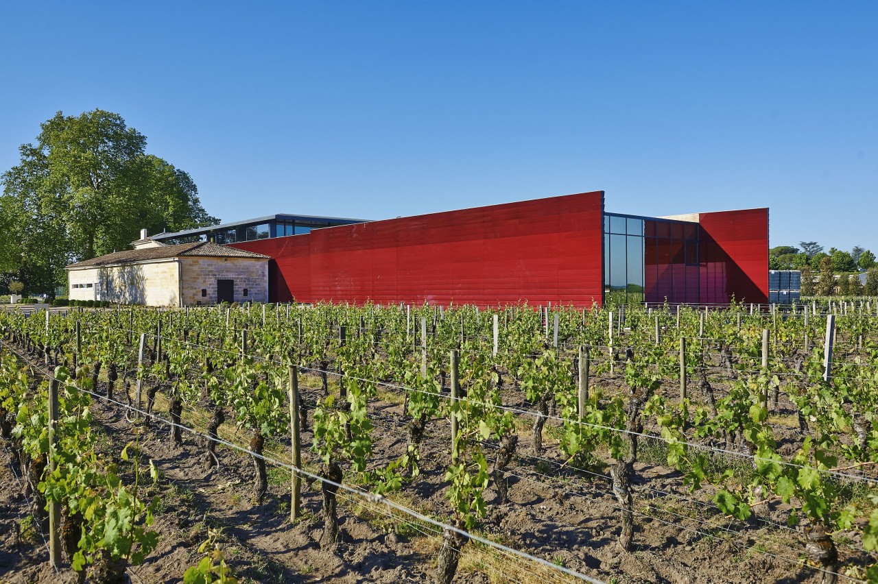 Le vignoble et l'extension du Château La Dominique / Philippe Caumes