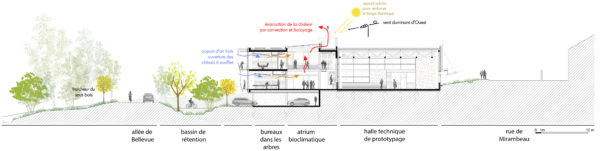 Coupe bioclimatique  / Agence Guiraud-Manenc