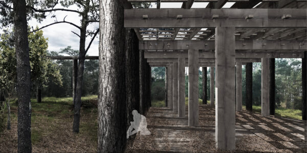 La forêt demain, la galerie / Quentin Trey