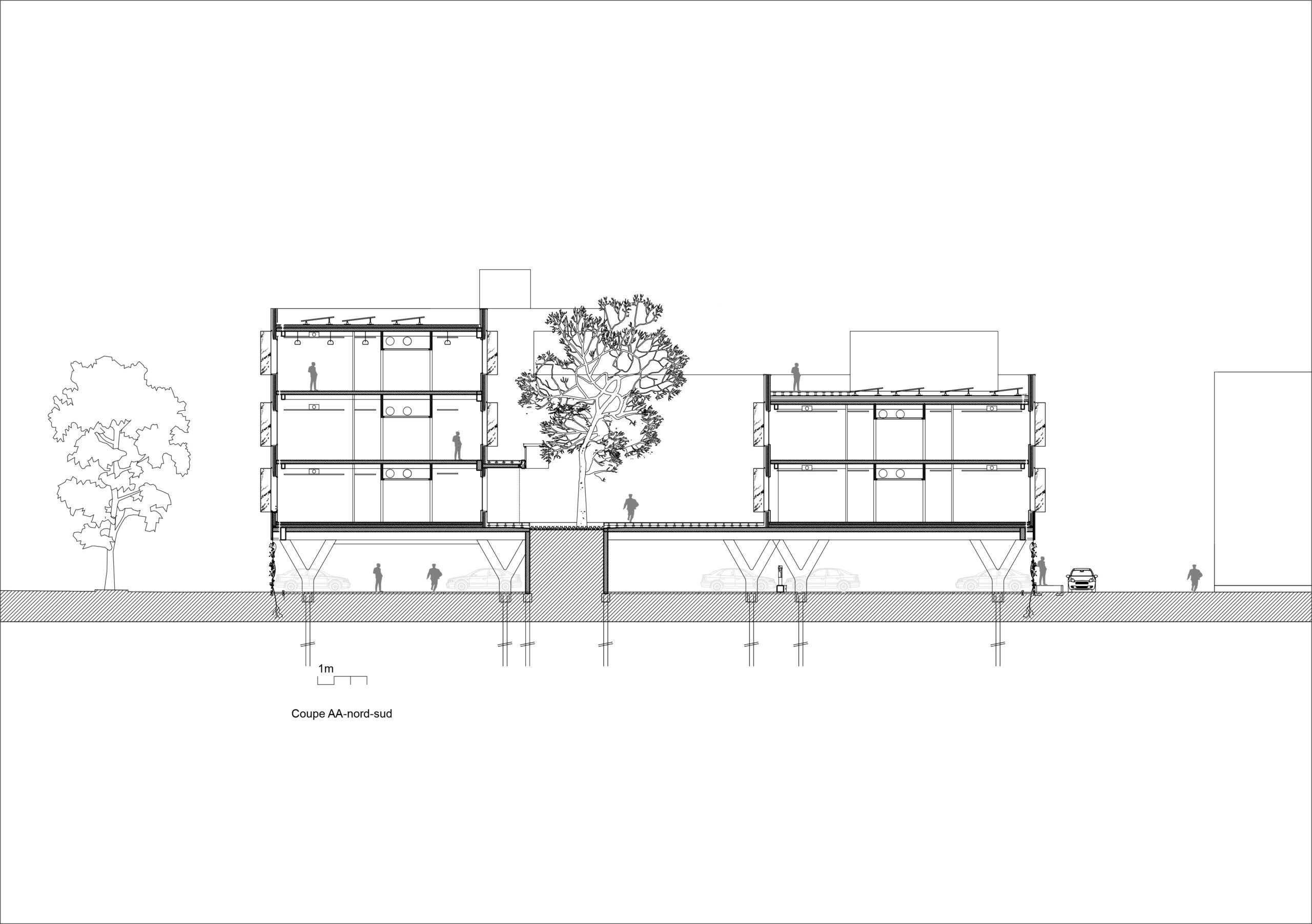 Coupe sur patio / Poly Rythmic Architecture